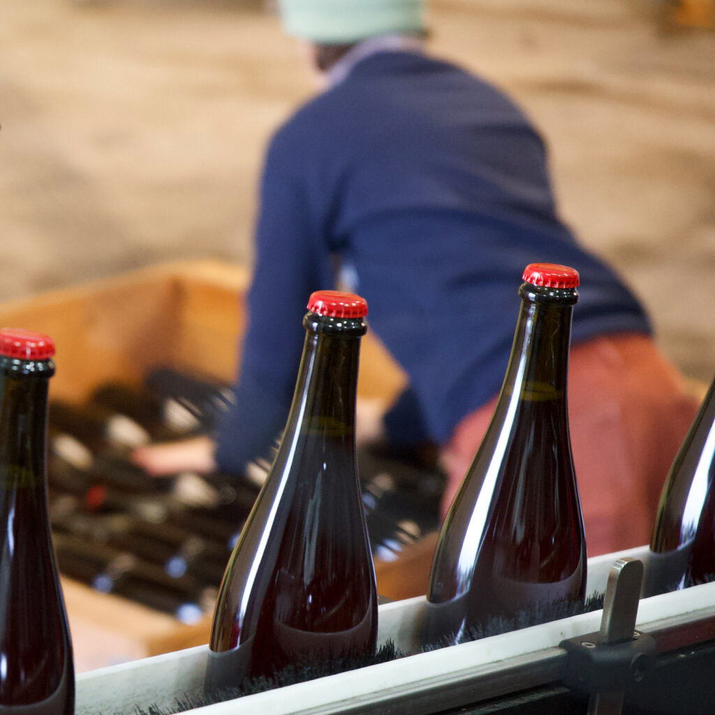 Tirage bottles are laid to rest in wood bins.