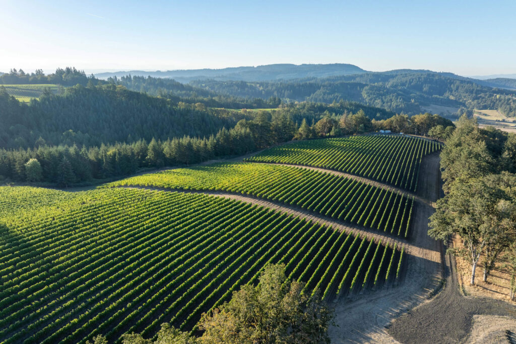 Windfall Vineyard aerial with surrounding forest.